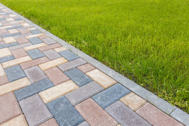 Best Driveway Paving Contractor  in Meade, KS